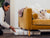 Dog owner putting the folded crate underneath the couch, dog sitting on the yellow couch