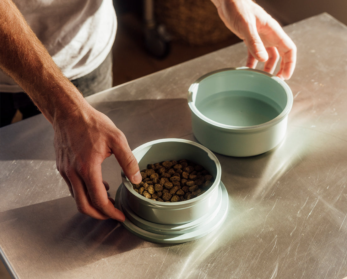 Two dog bowls, one has food and one has water and the owner hands are shown