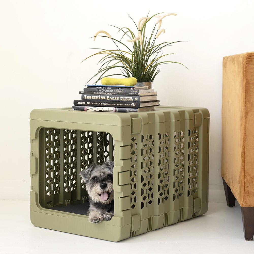 PAWD® | Modern Dog & Pet Crate – Collapsible Crate for Dogs