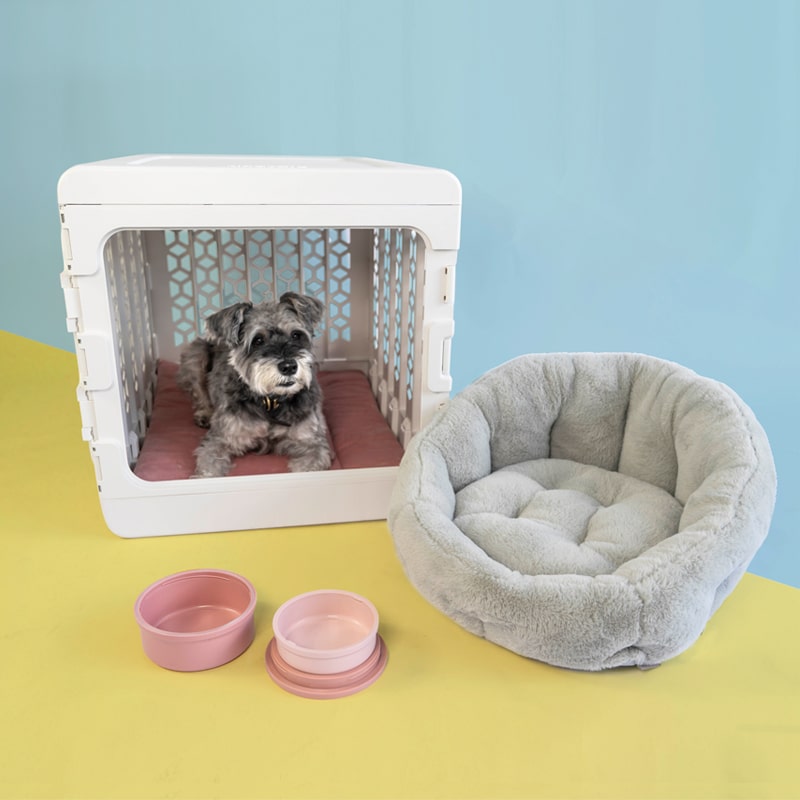 Puppy Training Bundle PAWD®