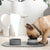 Portabowls | Portable travel & home dog bowl set