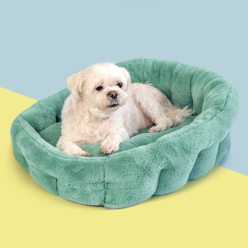 PAWD® Lounger | Pet Crate Calming dog bed