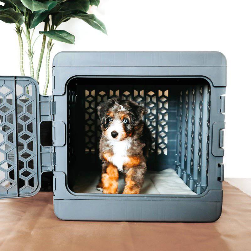 PAWD® | Modern Collapsible Plastic Dog & Pet Crate - KindTail