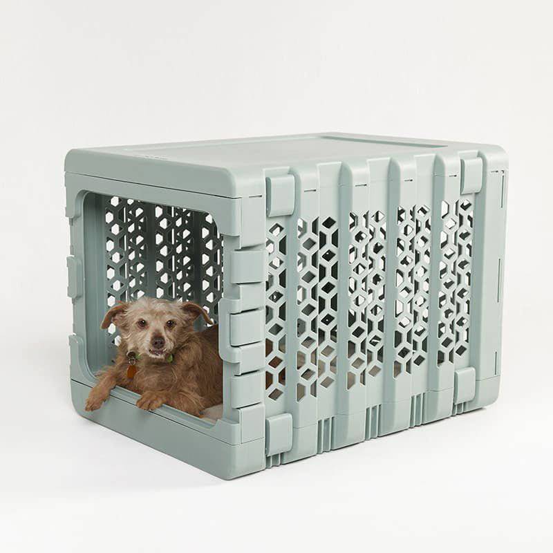 PAWD® | Modern Collapsible Plastic Dog & Pet Crate - KindTail