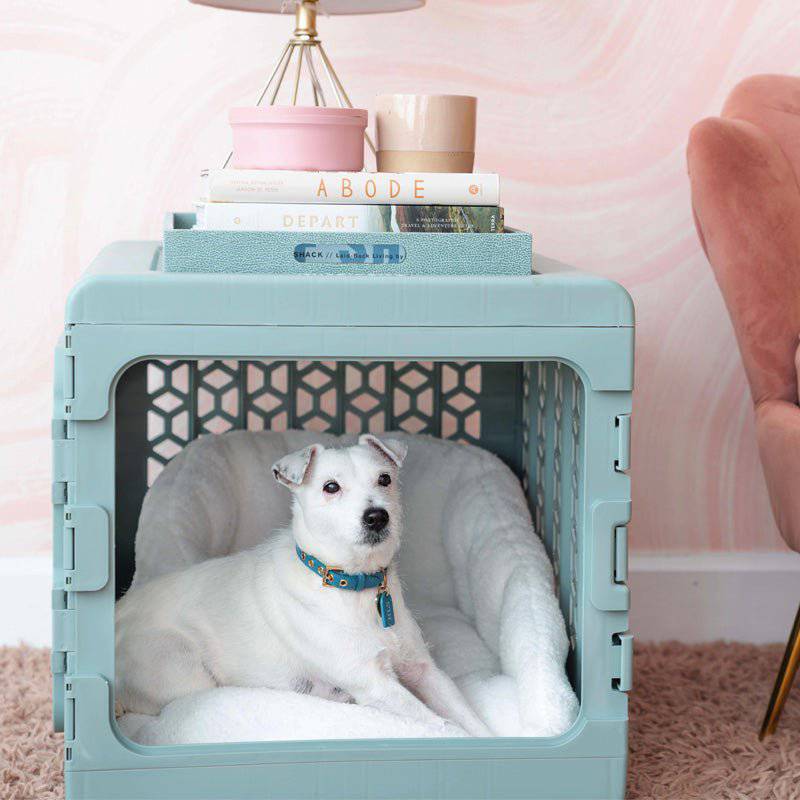 PAWD® | Modern Collapsible Plastic Dog & Pet Crate - KindTail