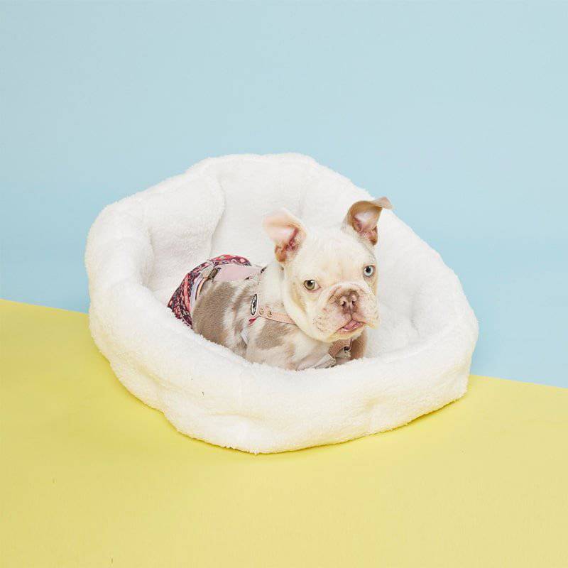 PAWD® Lounger | Pet Crate luxury bed - KindTail